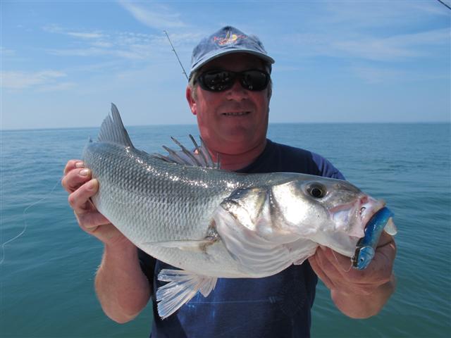 Leurre ariculé réaliste Live Oléron I pêche mer rivière 10cm 18g N°29